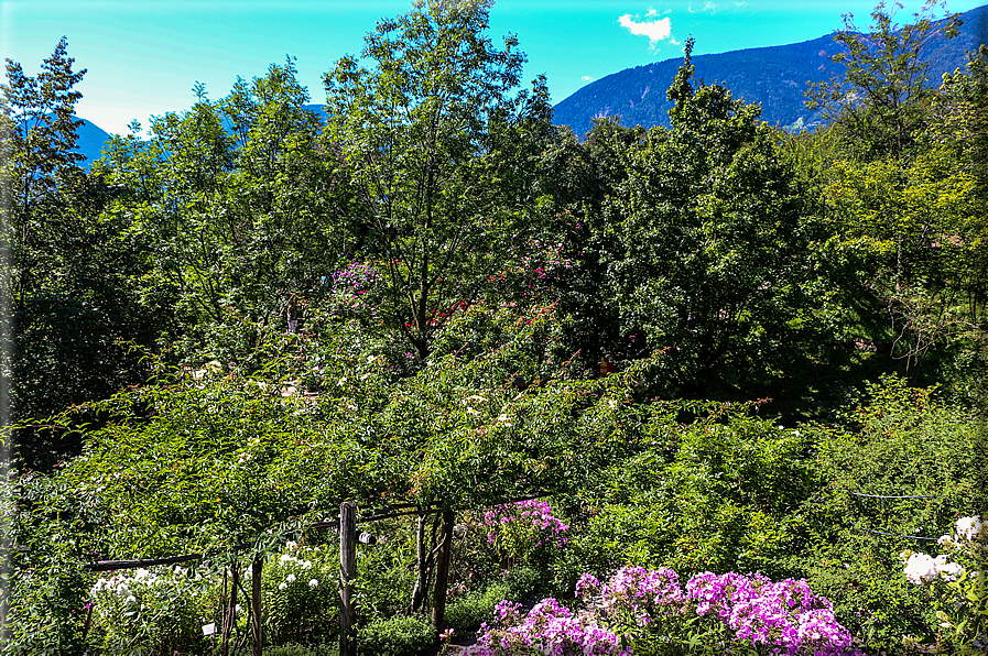 foto Giardini Trauttmansdorff - Paesaggi dell'Alto Adige